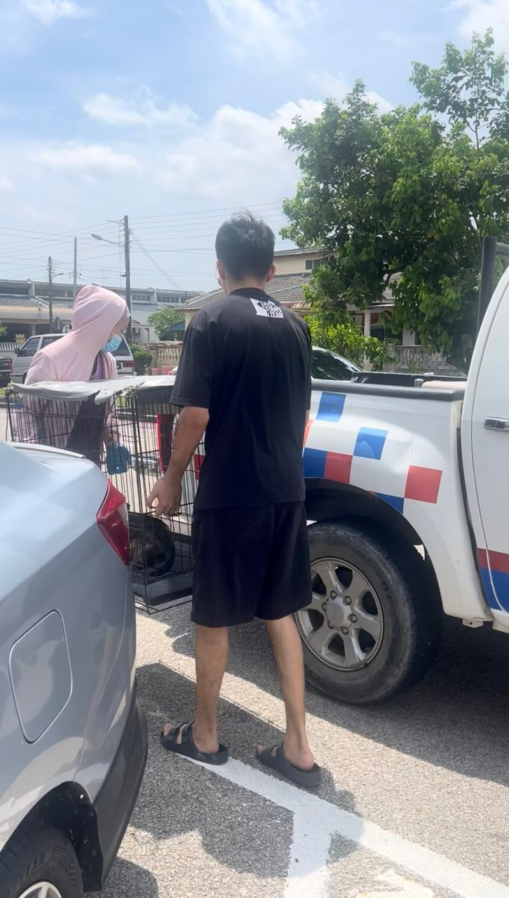 Rescue Driver