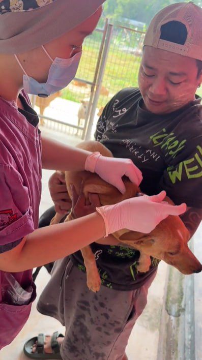 Shelter Care
